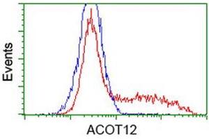 HEK293T cells transfected with either RC210445 overexpress plasmid (Red) or empty vector control plasmid (Blue) were immunostained by anti-ACOT12 antibody (ABIN2454307), and then analyzed by flow cytometry. (ACOT12 Antikörper)
