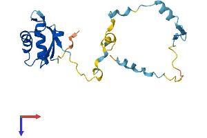 RCAN2 Protein (AA 1-197) (His tag)
