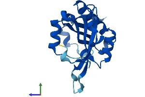 Protein Structure (PS) image for N-Acetyltransferase 5 (NAT5) (AA 1-178) protein (His tag) (ABIN7549667)