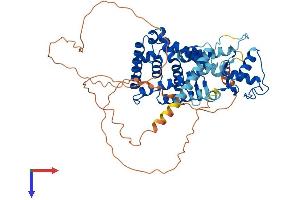 NR5A2 + LRH1 Protein (AA 1-541) (His tag)