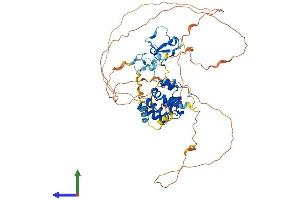 Protein Structure (PS) image for Autoimmune Regulator (AIRE) (AA 1-552) protein (His tag) (ABIN7565252)