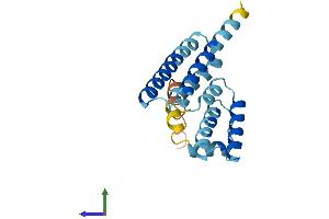 Protein Structure (PS) image for Leucine Zipper and CTNNBIP1 Domain Containing (LZIC) (AA 1-190) protein (His tag) (ABIN7559546)