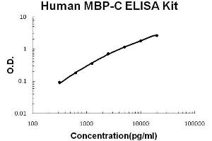 Human MBP-C/MBL2 Accusignal ELISA Kit Human MBP-C/MBL2 AccuSignal ELISA Kit standard curve. (MBL2 ELISA Kit)