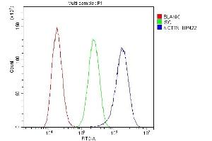 Flow Cytometry analysis of A549 cells using anti-cortactin antibody (ABIN6719306).