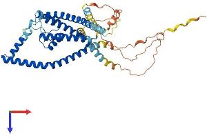 KCNK12 Protein (AA 1-430) (His tag)