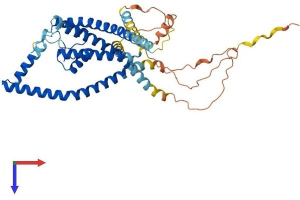 KCNK12 Protein (AA 1-430) (His tag)