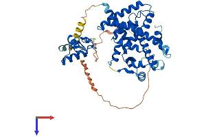 PPARD Protein (AA 1-441) (His tag)