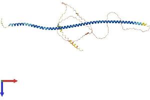 GOLM1 Protein (AA 1-401) (His tag)