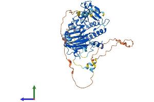 Protein Structure (PS) image for APEX Nuclease (Apurinic/apyrimidinic Endonuclease) 2 (APEX2) (AA 1-516) protein (His tag) (ABIN7564010)