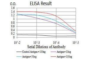 ELISA image for anti-Mechanistic Target of Rapamycin (serine/threonine Kinase) (mTOR) (AA 2311-2529) antibody (ABIN5542615)