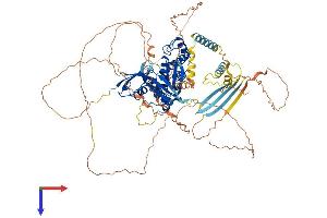 EPB41 Protein (AA 1-858) (His tag)
