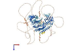 PLK4 Protein (AA 1-970) (His tag)