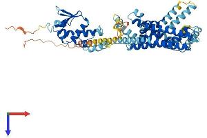 KCNS1 Protein (AA 1-497) (His tag)