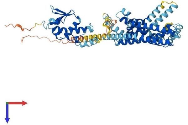 KCNS1 Protein (AA 1-497) (His tag)