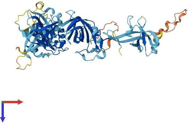 EEFSEC Protein (AA 1-583) (His tag)