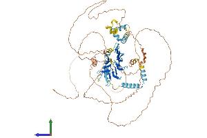 AlphaFold protein structure predicition of Human Recombinant ERICH6B Protein, UniprotID Q5W0A0