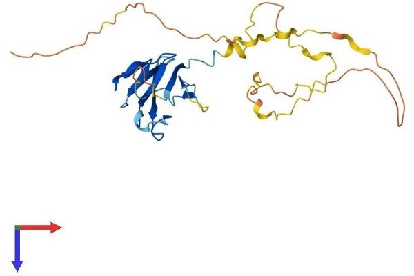 TCF19 Protein (AA 1-263) (His tag)
