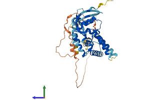 Protein Structure (PS) image for Mortality Factor 4 Like 1 (MORF4L1) (AA 1-362) protein (His tag) (ABIN7563489)