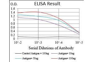 Fig. (CD200 Antikörper  (AA 56-257))