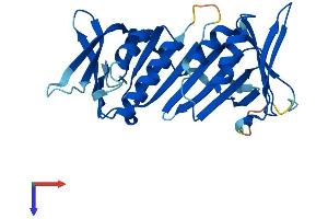 HUS1 Protein (AA 1-280) (His tag)