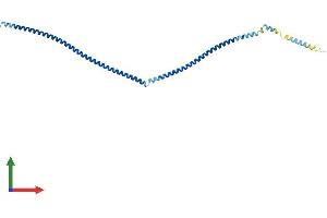 Protein Structure (PS) image for Chromosome 10 Open Reading Frame 96 (C10orf96) (AA 1-258) protein (His tag) (ABIN7553088)