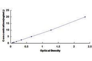 Carnitine O-Acetyltransferase (CRAT) ELISA Kit