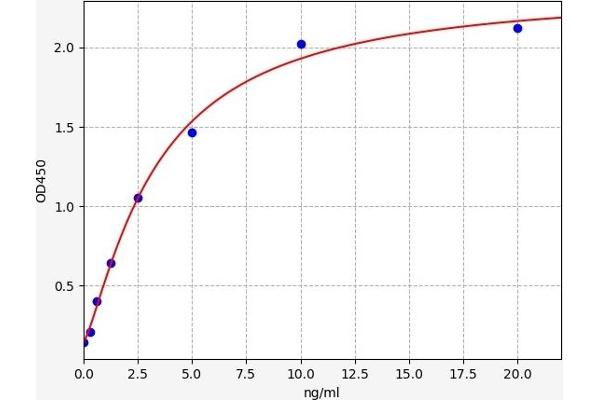 ATG5 ELISA Kit