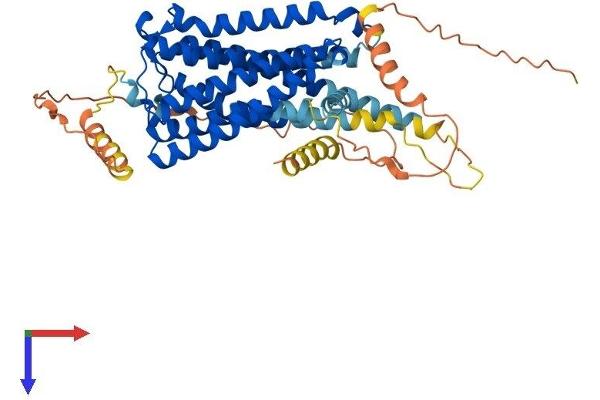 CNR1 Protein (AA 1-472) (His tag)