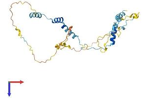 PPP1R35 Protein (AA 1-253) (His tag)