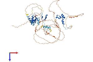 DBF4B/DRF1 Protein (AA 1-615) (His tag)