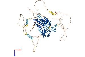 DDX42 Protein (AA 1-929) (His tag)