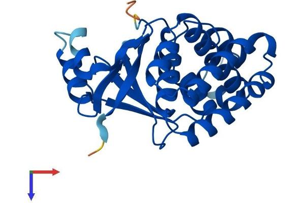 OTUB2 Protein (AA 1-234) (His tag)