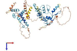 ZNF75 Protein (AA 1-510) (His tag)