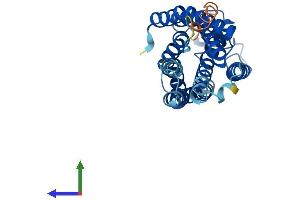 AlphaFold protein structure predicition of Human Recombinant FFAR1 Protein, UniprotID O14842