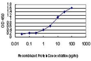 Detection limit for recombinant GST tagged AATK is approximately 0. (AATK Antikörper  (AA 161-260))