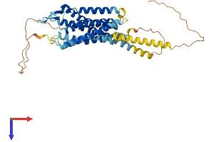 AVPR1A Protein (AA 1-418) (His tag)