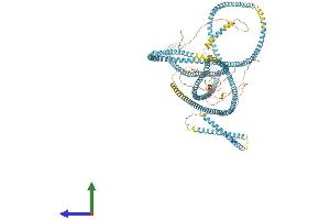 Protein Structure (PS) image for Sfi1 Homolog, Spindle Assembly Associated (SFI1) (AA 1-1216) protein (His tag) (ABIN7563767)