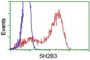 HEK293T cells transfected with either RC218359 overexpress plasmid (Red) or empty vector control plasmid (Blue) were immunostained by anti-SH2B3 antibody (ABIN2454470), and then analyzed by flow cytometry. (SH2B3 Antikörper)