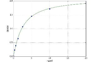 K-Cadherin (CDH6) ELISA Kit