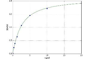 A typical standard curve (CDH6 ELISA Kit)