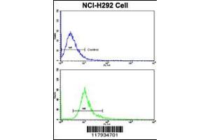 Flow cytometric analysis of NCI-H292 cells using DCXR Antibody (bottom histogram) compared to a negative control cell (top histogram). (Doublecortin Antikörper  (AA 79-106))