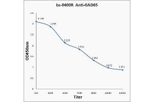 Antigen: 0. (GAD65 Antikörper  (AA 501-585))