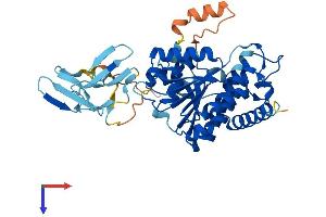 WWOX Protein (AA 1-414) (His tag)