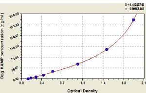 Typical Standard Curve