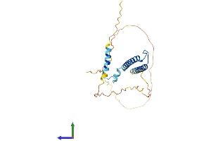 Protein Structure (PS) image for Myogenic Factor 6 (MYF6) (AA 1-242) protein (His tag) (ABIN7562886)