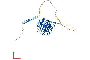 Protein Structure (PS) image for UDP-Gal:betaGlcNAc beta 1,4 Galactosyltransferase, Polypeptide 1 (B4GALT1) (AA 1-398) protein (His tag) (ABIN7552549)