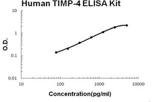 Human TIMP-4 PicoKine ELISA Kit standard curve (TIMP4 ELISA Kit)