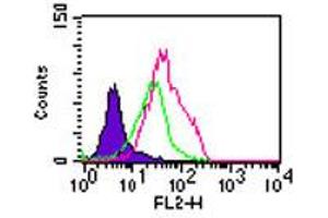 TLR5 Flow Cytometry Flow Cytometry of Rabbit Anti-TLR5 antibody.