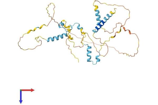 FAM110B Protein (AA 1-370) (His tag)