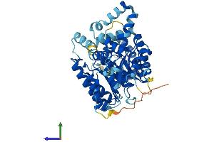 Protein Structure (PS) image for Proline Dehydrogenase (Oxidase) 2 (PRODH2) (AA 1-456) protein (His tag) (ABIN7559843)
